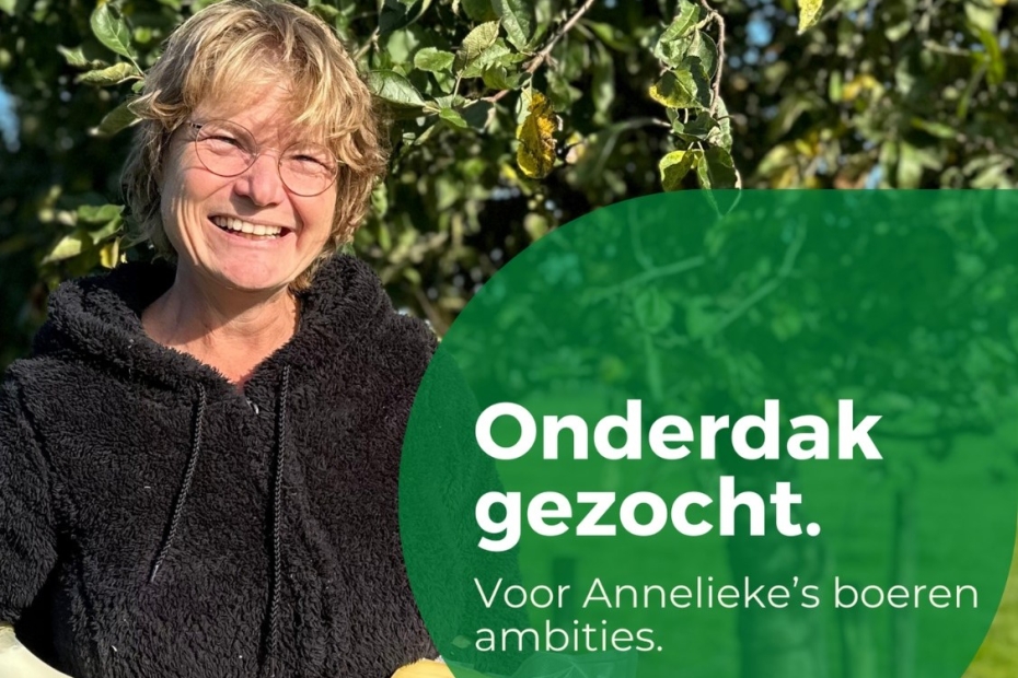 Crowdfunding: Samen bouwen aan ontwikkeling Help je mee? 25% is reeds ingelegd.